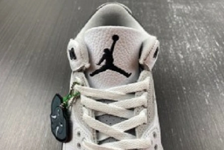 3402 Jordan 3 Retro Hide N' Sneak  DX6665- DailyWear 385