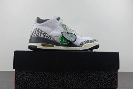 3402 Jordan 3 Retro Hide N' Sneak  DX6665- DailyWear 385
