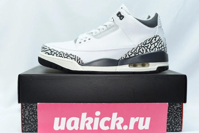 3402 Jordan 3 Retro Hide N' Sneak  DX6665- DailyWear 385