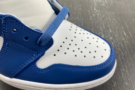 Resilient 2149 Jordan 1 Retro High OG True Blue DZ5485- 152