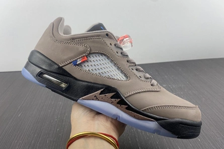 5329 PSG-Air Jordan 5 Low DX6325- Fashionable 574