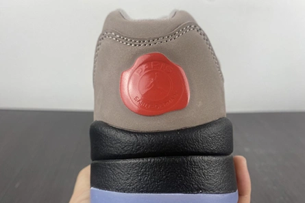 5329 PSG-Air Jordan 5 Low DX6325- Fashionable 574