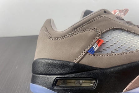 5329 PSG-Air Jordan 5 Low DX6325- Fashionable 574
