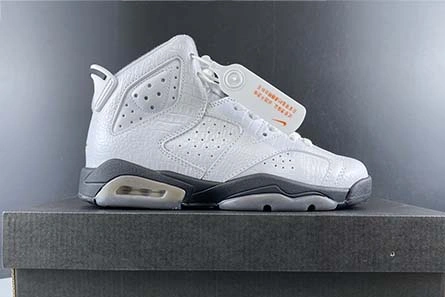 Modern 7057 Air Jordan 6 GS “Alligator” 384665- 634