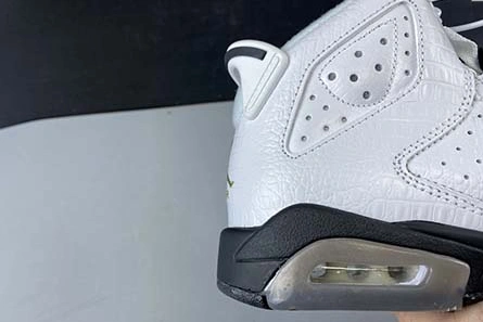 Modern 7057 Air Jordan 6 GS “Alligator” 384665- 634