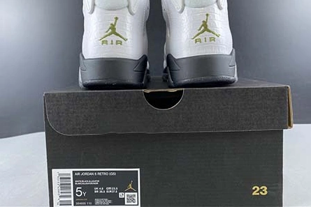 Modern 7057 Air Jordan 6 GS “Alligator” 384665- 634