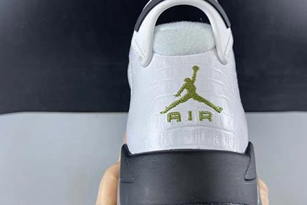 Modern 7057 Air Jordan 6 GS “Alligator” 384665- 634