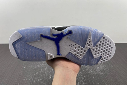 EyeCatching 665 Jordan 6 Retro CT8529-140