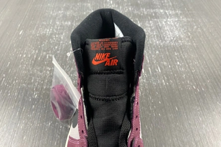 Vibrant 871 Jordan 1 High Element Gore-Tex Berry DB2889- 49