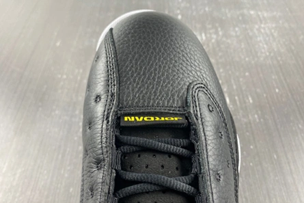 8620 Jordan 13 Retro Playoffs (2023)  414571- GoAnywhere 782