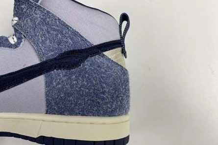 GoAnywhere 2070 NIKE SB Dunk High CW3092 -400