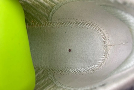 Timeless 5466 Nike Air Max Scorpion FK FJ7070- 843