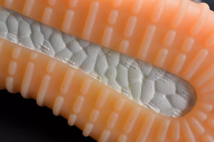 WellDesigned 4400 adidas Yeezy 750 Boost Light Brown BY 1779