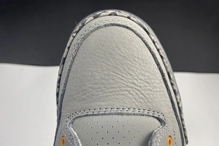 Resilient 4970 Air Jordan 3``Cool Gray''  CT8532- 415