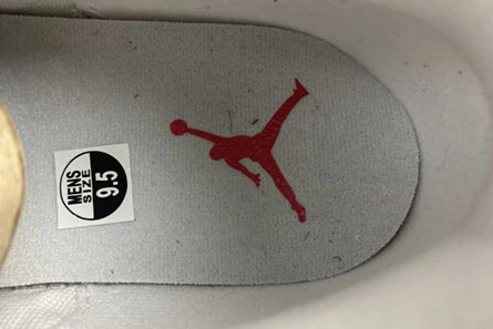 Resilient 4970 Air Jordan 3``Cool Gray''  CT8532- 415