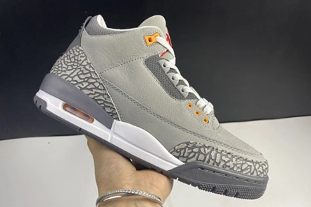Resilient 4970 Air Jordan 3``Cool Gray''  CT8532- 415
