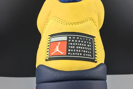 AllSeason JORDAN 5 RETRO MICHIGAN (2019) - CQ9541-704 604