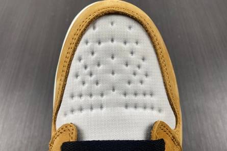 Durable Jordan 1 High Element Gore-Tex Light Curry  DB2889-700 172