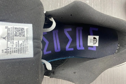 Jordan 1 Low SE Concord DV1309-100 Durable 157
