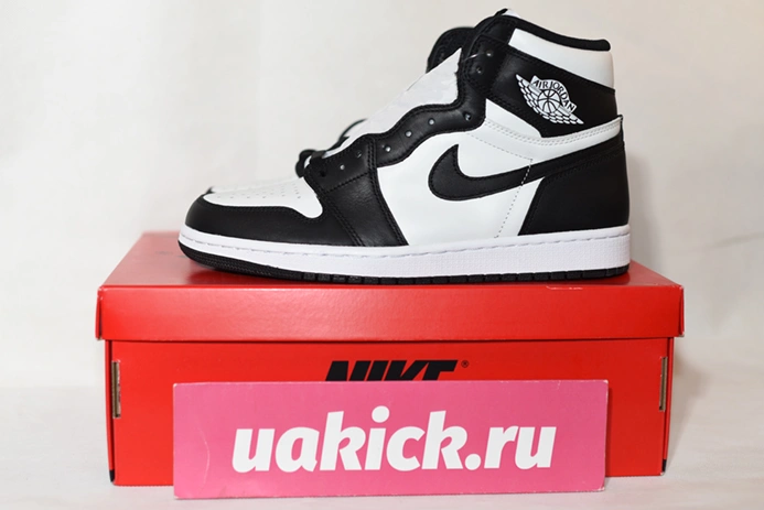 Lightweight Jordan 1 Retro High 85 Black White (2023) BQ4422-001 145