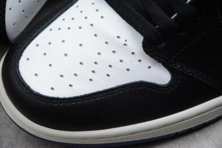 AllSeason Jordan 1 Retro High Blue Moon 555088-115 332