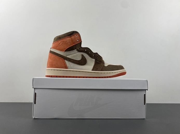 Lightweight Jordan 1 Retro High OG SP Dusted Clay (Women's)  FQ2941-200 52