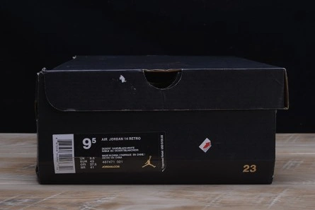 Practical Jordan 14 Retro Desert Sand 487471-021 827