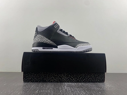 Jordan 3 Retro Black Cement  854262-001 DailyWear 440
