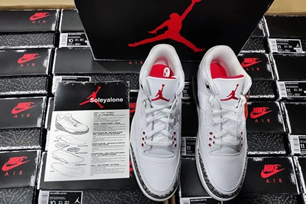 Flexible Jordan 3 Retro White Cement Reimagined DN3707-100 393
