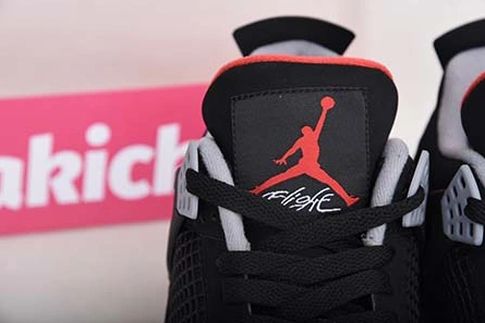 Jordan 4 Bred  Black Cement (2019) - 308497-060 Popular 599