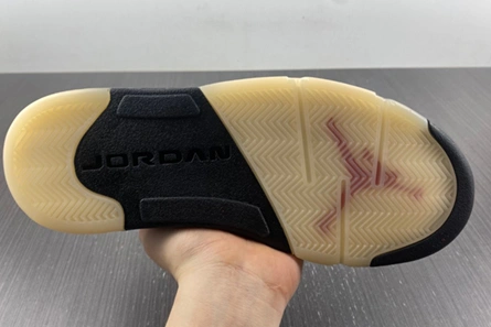 Minimalist Jordan 5 Retro Dunk on Mars (W)  DD9336-800 568