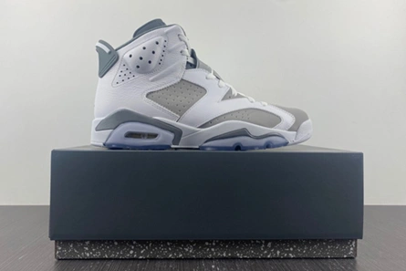 Fashionable Jordan 6 Retro Cool Grey  CT8529-100 607
