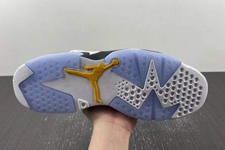 Classic Jordan 6 Retro Yellow Ochre  CT8529-170 603