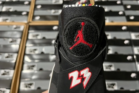 Jordan 8 Retro Playoffs (2023)  305381-062 Fashionable 651