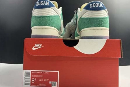 Kasina x Nike Dunk Low CZ6501-101 Stylish 1103