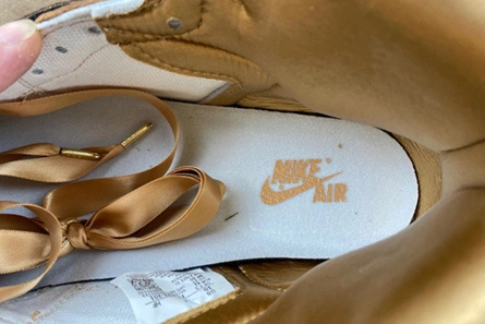 7117 Jordan 1 Retro High OG Praline (Women's)  FN6622- Efficient 69