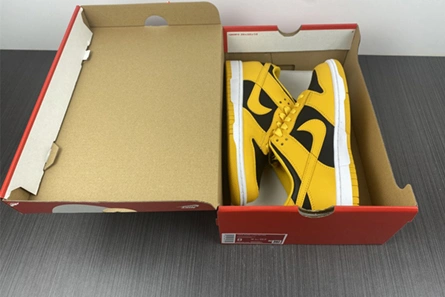 8082 Nike Dunk Low Takes on a Familiar “Goldenrod” Colorwa DD1391- Efficient 1092