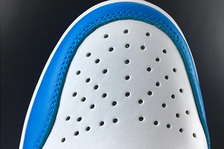 NIKE SB x AIR JORDAN 1 LOW TopPick 256