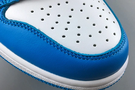 NIKE SB x AIR JORDAN 1 LOW TopPick 256