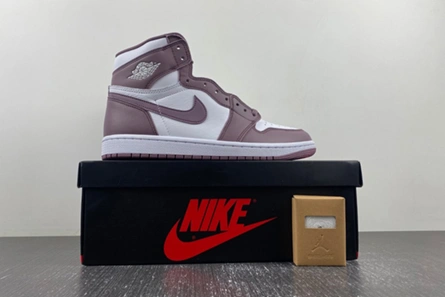 Compact 8885 Jordan 1 Retro High OG Sky J Mauve  DZ5485- 125