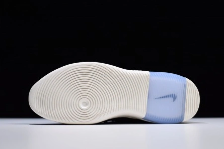 Classic Nike Air Fear of God 1 Black AR4237-001 1629