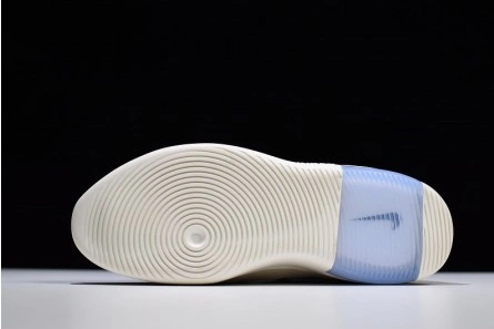 DailyWear Nike Air Fear of God 1 Light Bone AR4237-002 1290