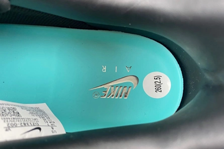 Minimalist Nike Air Force 1 Low Tiffany & Co. 1837  DZ1382-900 1176