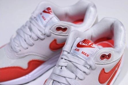 Nike Air Max 1 AllSeason 1316