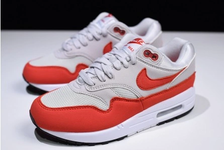 Nike Air Max 1 AllSeason 1316