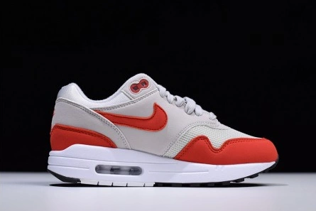 Nike Air Max 1 AllSeason 1316