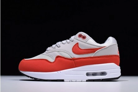 Nike Air Max 1 AllSeason 1316