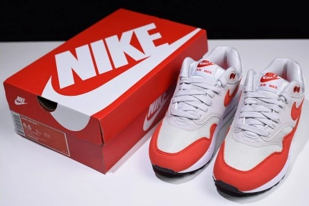 Nike Air Max 1 AllSeason 1316