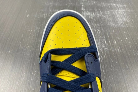 Breathable Nike Dunk Low Disrupt 2 Michigan (Women's) DV4024-400 954