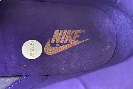 Lightweight Nike Dunk Low “Plum” CU1726-500 1145